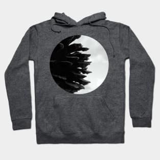 Pine Cones Hoodie